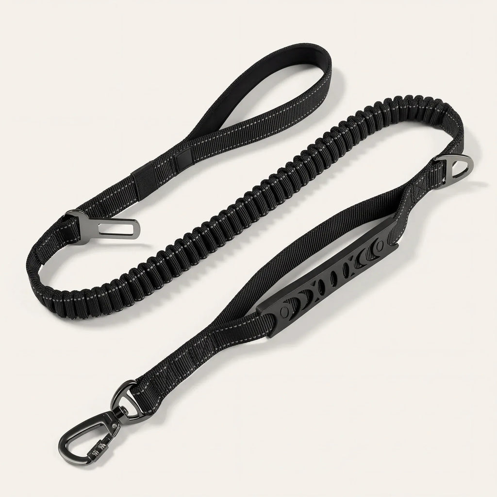 Laisse bungee amortissante