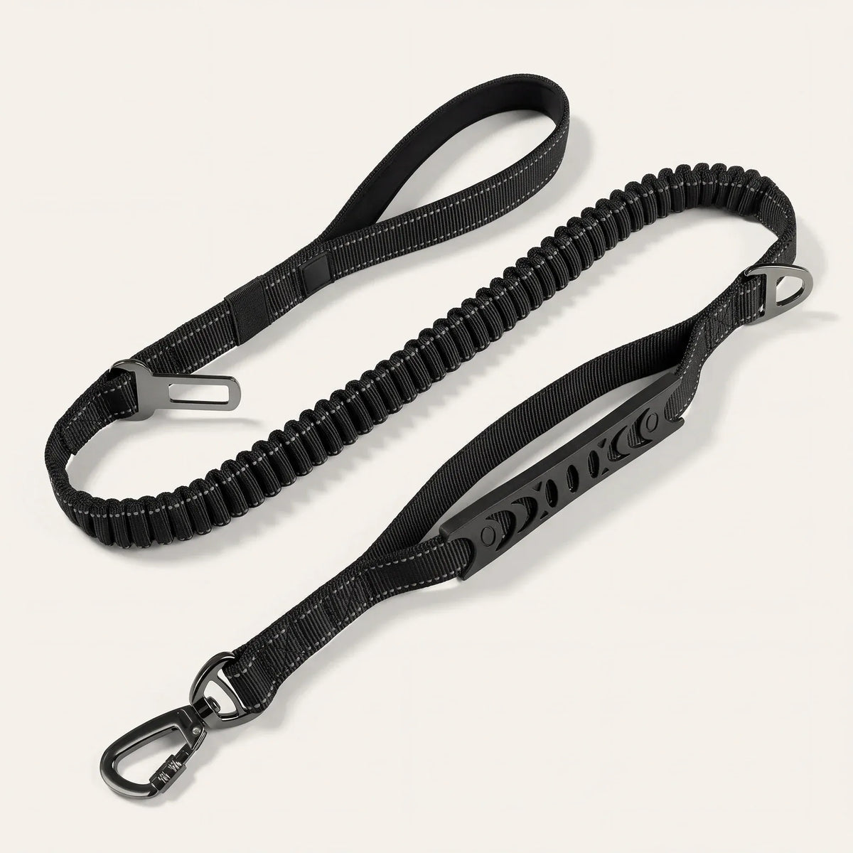 Laisse bungee amortissante